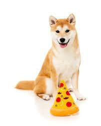 FuzzYard Pizza Peluche