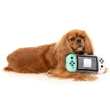DogTendo Juzzyard