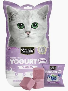 Yogurt Yums Arándano Azul