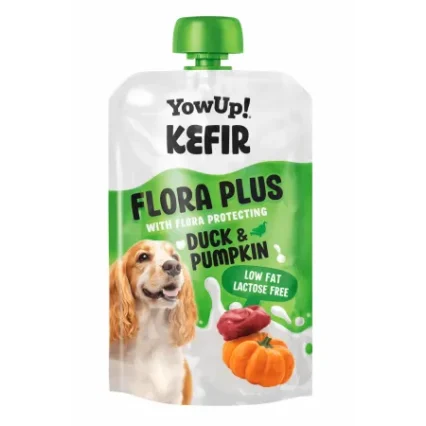 YowUp Kefir Pato Calabaza 115gr