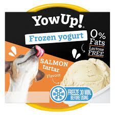 YowUp Frozen Yogurt Salmon Tartar110gr