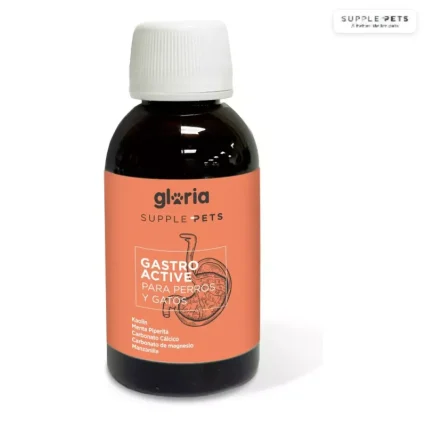Gastro Active 80ml